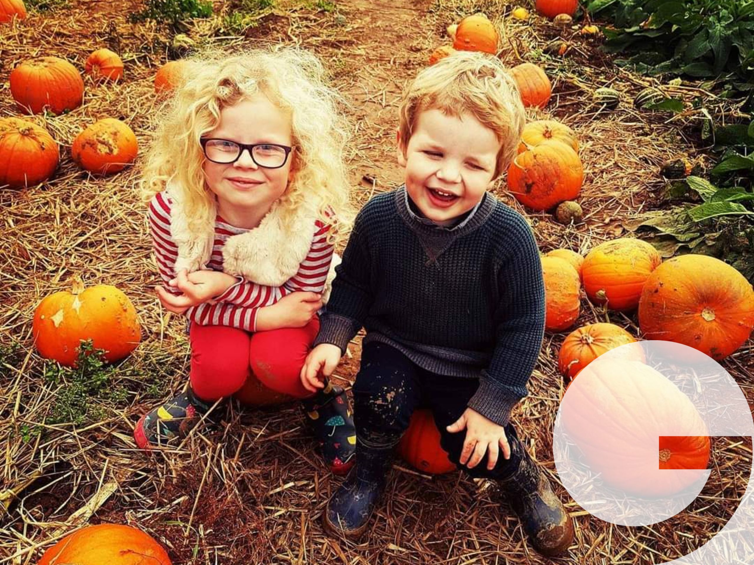 Two Children sitting in the middle of a pumpkin patch.